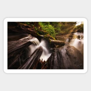 Secret Waterfall in the Forest Sticker